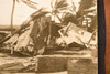 1947 AP Wire Photo West Palm Beach Florida Hurricane Damage After Storm V30