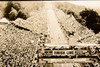 Akron Ohio All-American Soap Box Derby Crowd 1947 AP Wire Photo V33