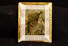 1850s Hand Tinted Daguerreotype Woman Pink Cheeks 1/2 Floral Case 1/6 Plate V39