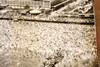 Coney Island Beach Steeplechase Park 16¼x11½ July 4th 1947 AP Wire Photo V35