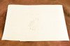 Coney Island Beach Steeplechase Park 16¼x11½ July 4th 1947 AP Wire Photo V35