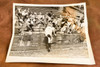 Baseball Fans Scramble for Foul Ball 14¼x12 1947 AP Wire Photo V33