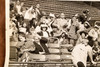Baseball Fans Scramble for Foul Ball 14¼x12 1947 AP Wire Photo V33