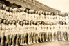1947 Miss America Hopefuls Atlantic City Boardwalk 14¾ x 10¾" AP Wire Photo V31