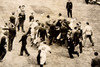 Cookie Lavagetto World Series Celebration 15½×10½ 1947 AP Wire Photo V35