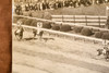 1947 Preakness Stakes Faultless Wins Pimlico Horse Racing AP Wire Photo V36