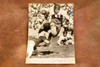 William Blotz USC Trojans vs Ohio Buckeyes Football 6½×9 1947 AP Wire Photo V30
