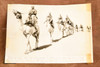 Egypt Desert Camel Corps Patrol Sinai 9x6⅜ 1947 AP Wire Photo V36