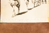 Egypt Desert Camel Corps Patrol Sinai 9x6⅜ 1947 AP Wire Photo V36