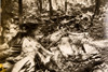 Airliner Crash Wreckage Port Deposit Maryland Woods 8⅝x8 1947 AP Wire Photo V30