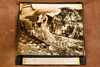 United Airlines DC-4 Crash Wreckage No Survivors 8x7¾ 1947 AP Wire Photo V38