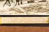 Chatsworth Brush Fire Aftermath California 8¼ x 7¾ 1947 AP Wire Photo V37