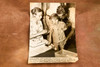 Typhoid Vaccination Child Red Cross Miami 6⅜x9 1947 AP Wire Photo V36