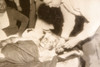 Texas City Explosion Family Victims 8⅜ x 7¼ 1947 AP Wire Photo V39