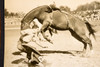 Pendleton Round Up Bucking Horse Rodeo 8x9 1947 AP Wire Photo V32