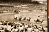 Kentucky Derby Horse Racing Jet Pilot Leads Field 8x7¾ 1947 AP Wire Photo V30