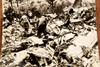 Leesburg VA PCA DC-4 Plane Crash Wreckage 8¾x6½ 1947 AP Wire Photo V32