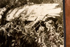 Leesburg VA PCA DC-4 Crash Wing Wreckage 8¼x8 1947 AP Wire Photo V33