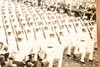 West Point Cadets Honor American Legion NYC 8½x6⅜ 1947 AP Wire Photo V35