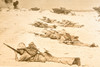 Marines Beach Assault Demo Lejeune Little Creek VA 8½x6½ 1947 AP Wire Photo V32
