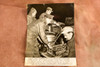 Soldiers Prepare Field Kitchen Bar Harbor 5¾x7¾ 1947 AP Wire Photo V33
