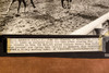 Elastic Horse Racing Winner Monmouth Park 8½x8⅜ 1947 AP Wire Photo V38