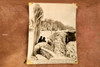 Niagara Falls Frozen Lamp Post Winter Scene 5⅛x6¾ 1947 AP Wire Photo V35