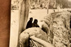 Niagara Falls Frozen Lamp Post Winter Scene 5⅛x6¾ 1947 AP Wire Photo V35