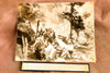 Springfield VT B-29 Bomber Crash 11 Dead 8¼x6¾ 1947 AP Wire Photo V37