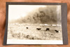 Texas City Explosion Smoke Cattle Pasture 9½x6½ 1947 AP Wire Photo V35
