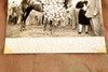 Stymie Belmont Park Conn McCreary Hirsch Jacobs 6⅜x9½ 1947 AP Wire Photo V31