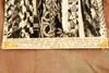 Newark Judge James Pellecchia Best Dressed 400 Ties 6¾x9 1947 AP Wire Photo V33