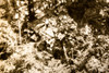 Army B-29 Bomber Crash Hawks Mountain Vermont 6½x9⅛ 1947 AP Wire Photo V38