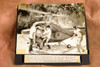 Brush Fire Helicopter Rescue Los Angeles 8½x7½ 1947 AP Wire Photo V31