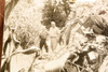 Coatesville PA Fatal Plane Crash in Cornfield 7½x6 1947 AP Wire Photo V38