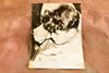 15-Year-Old Admits Fatal Stabbing Chicago Murder 6¾ x 9⅛ 1947 AP Wire Photo V30
