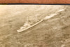 Coast Guard Rescues Disabled Bermuda Sky Queen 9x7⅞ 1947 AP Wire Photo V32