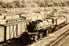 Boxcars Jam Minneapolis Rail Yards Grain Rush 1947 9x8 AP Wire Photo V37