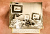 Crooked Gambling Devices Hotel Marguery NYC 7⅞x6¼ 1947 AP Wire Photo V33