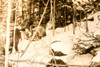 Pikes Peak Plane Crash Rescue 4 Survivors 3 Dead 8x6⅛ 1947 AP Wire Photo V34