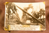 West Palm Beach Hurricane Damage Palm Trees 7⅝x5⅜ 1947 AP Wire Photo V36