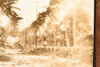 West Palm Beach Hurricane Damage Highway 8¼x7½ 1947 AP Wire Photo V38