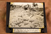 Miami Beach Hurricane Debris Oceanfront 9x7¼ 1947 AP Wire Photo V36