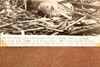 New Orleans Downtown Hurricane Debris 7½x4½ 1947 AP Wire Photo V33
