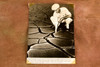 Cracked Flood Silt Orville Gruwell Ottumwa Iowa 5⅜x7⅜ 1947 AP Wire Photo V32