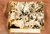 Golf Gallery Despairs Ward vs Selby Pebble Beach 7⅜x6¾ 1947 AP Wire Photo V39