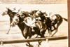 Colonel O'F Wins Mars Handicap Jamaica NY Horse Race 8x6¼ 1947 AP Wire Photo V31