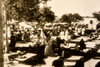 Texas City Disaster Cots for Explosion Victims 8¾ x 7½ 1947 AP Wire Photo V33