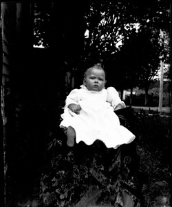 Antique 4x5 Glass Plate Negative Portrait of a Young Child in a Garden (V4417)
