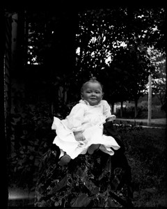 Antique 4x5 Glass Plate Negative Portrait of a Young Child in a Garden (V4425)